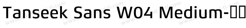Tanseek Sans W04 Medium字体转换